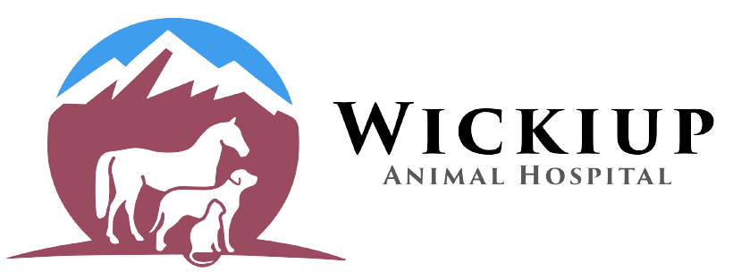Wickiup Animal Hospital